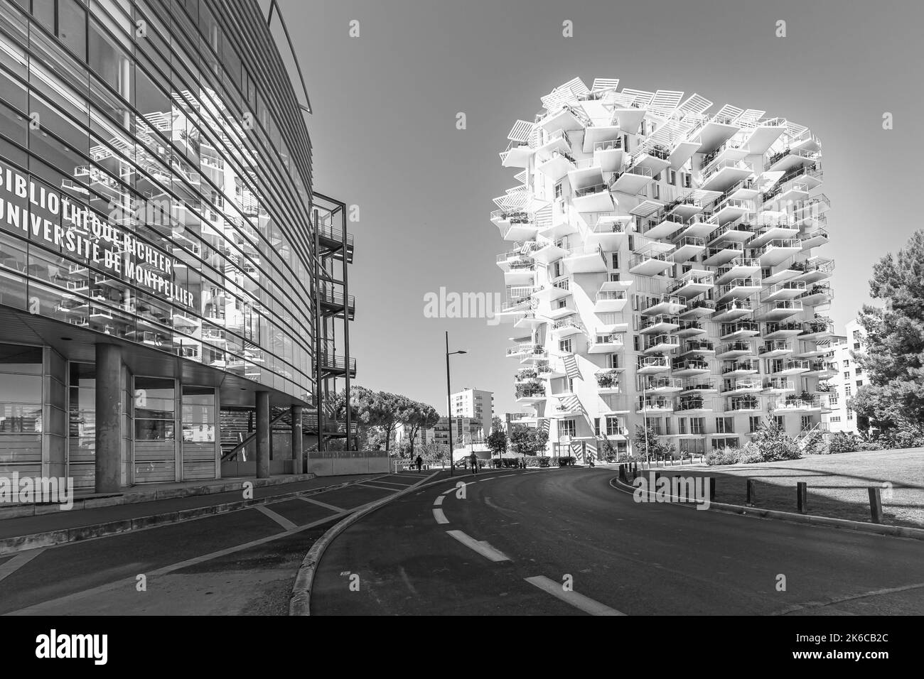 White Tree edificio residenziale dell'architetto Sou Fujimoto a Montpellier, in Francia, sulle rive del fiume Lez. Foto Stock