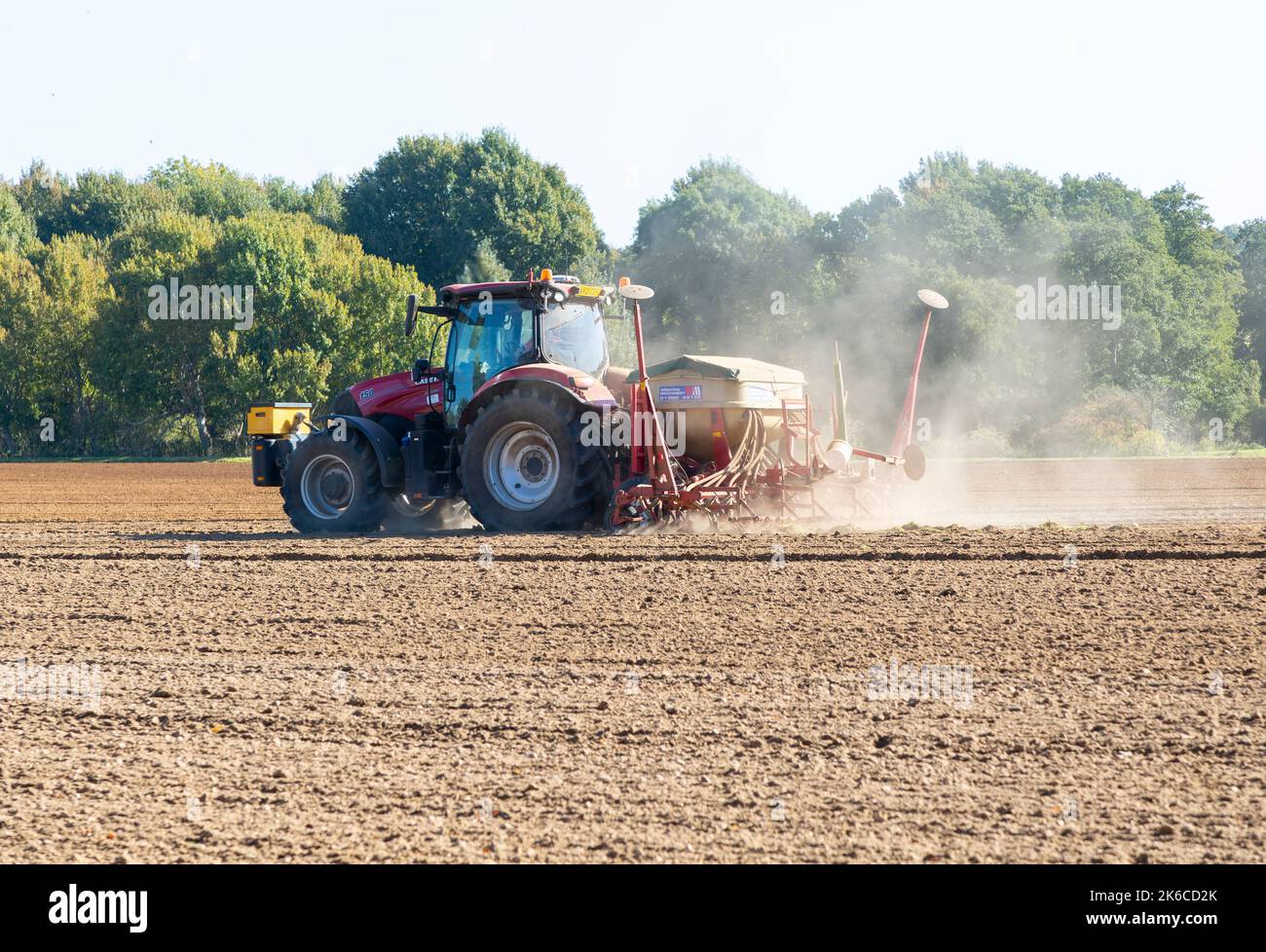 FIEL per trattrici rosse CASE 12 150, Suffolk Sandlings, Suffolk, Inghilterra, Regno Unito Foto Stock