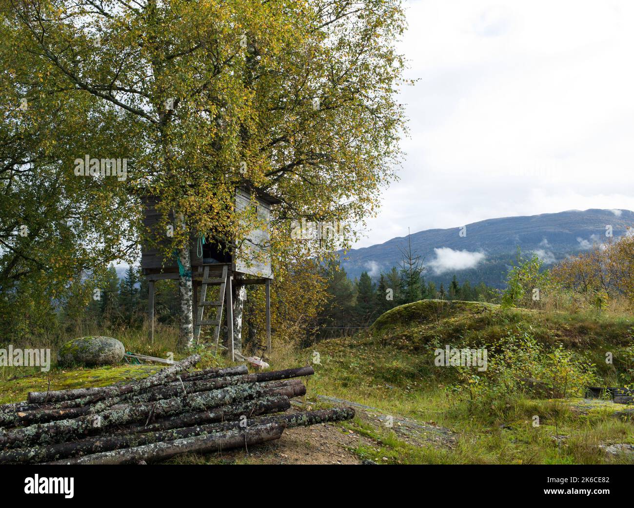 Casa sugli alberi e palo di tronchi in campagna norvegese Foto Stock
