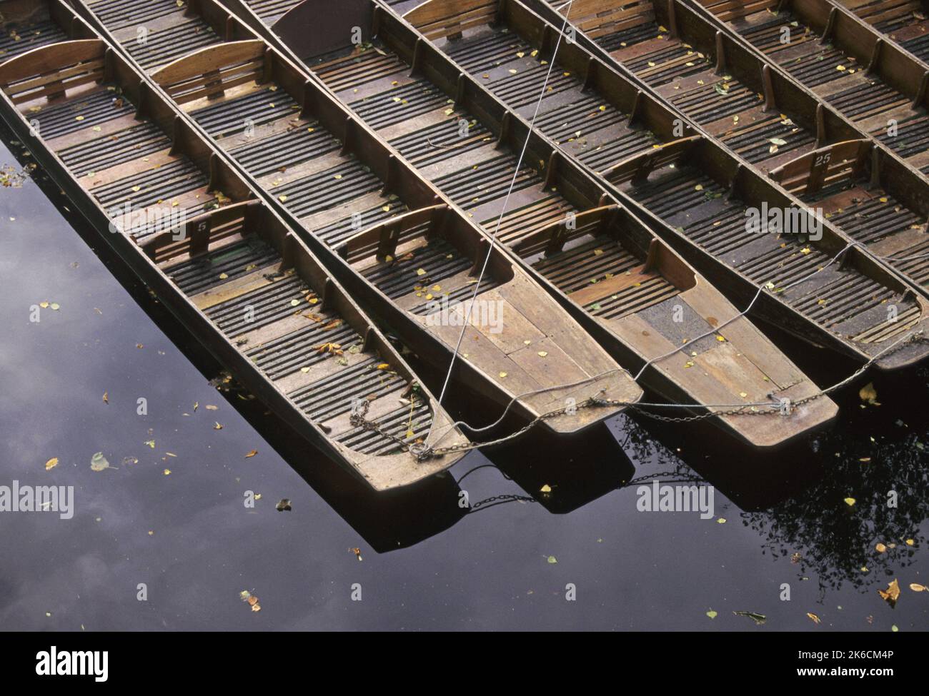 Puntate sul fiume Cherwell al Magdalen College Bridge, Oxford, Inghilterra Foto Stock