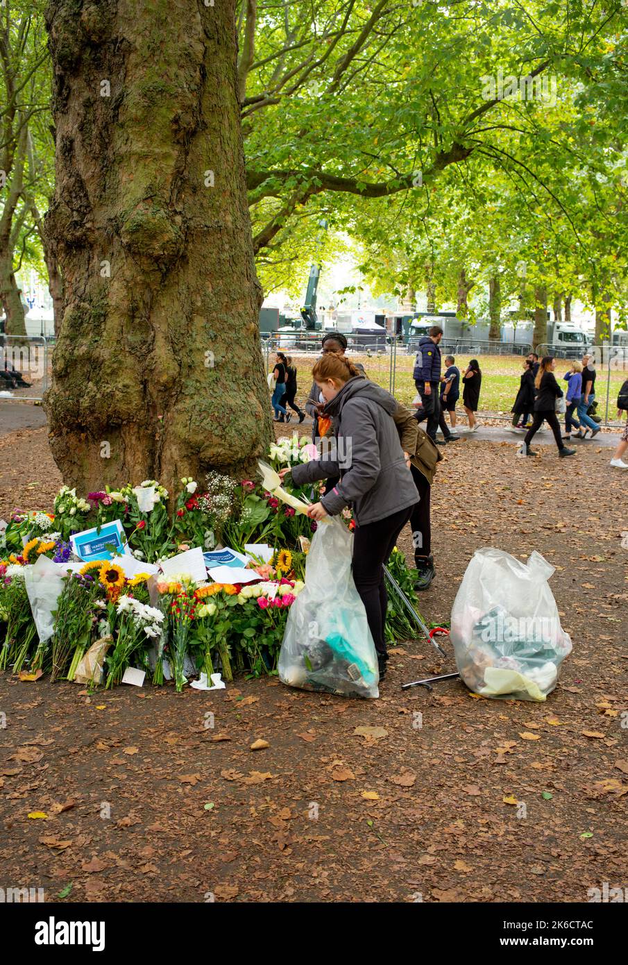 I volontari rimuovono le confezioni di plastica dai fiori lasciati a Green Park per onorare la defunto Regina Elisabetta del 2nd. Foto Stock