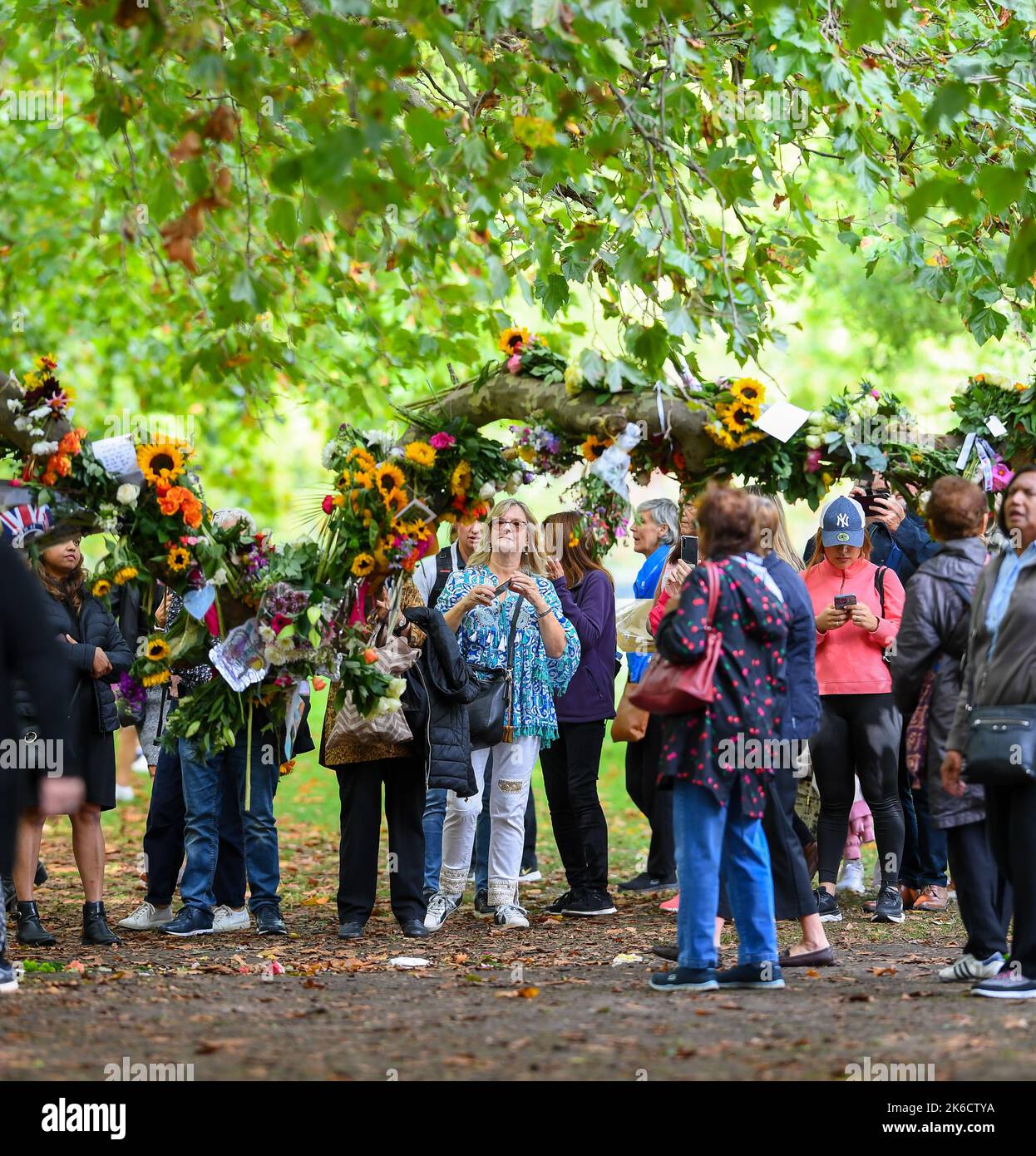 Un tributo floreale di Sun Flowers avvolto intorno ad un ramo di albero nel Green Park London UK ammirato dai luratori che frequentano il parco per deporre i fiori. Foto Stock
