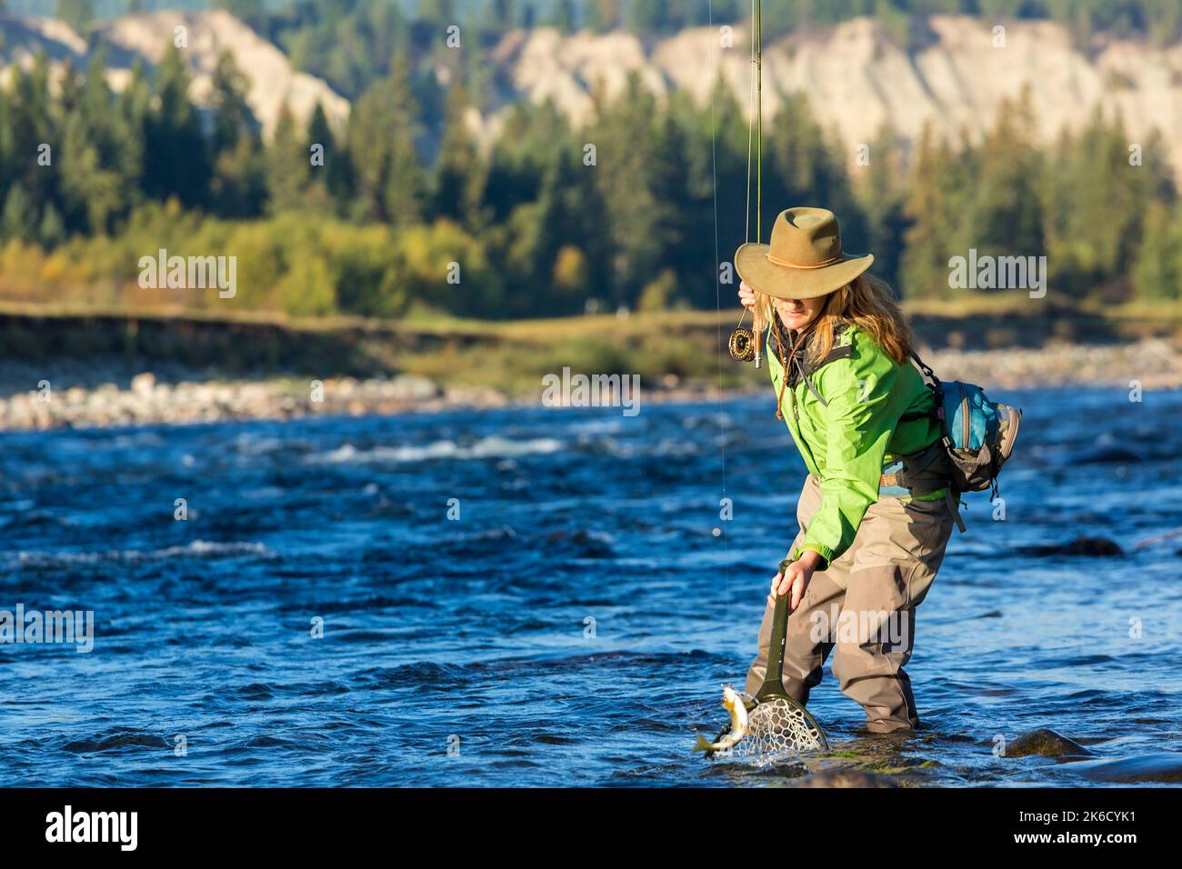 Fly pescatore che sbarcano trota con netto British Colombia, Canada, Nord America Foto Stock