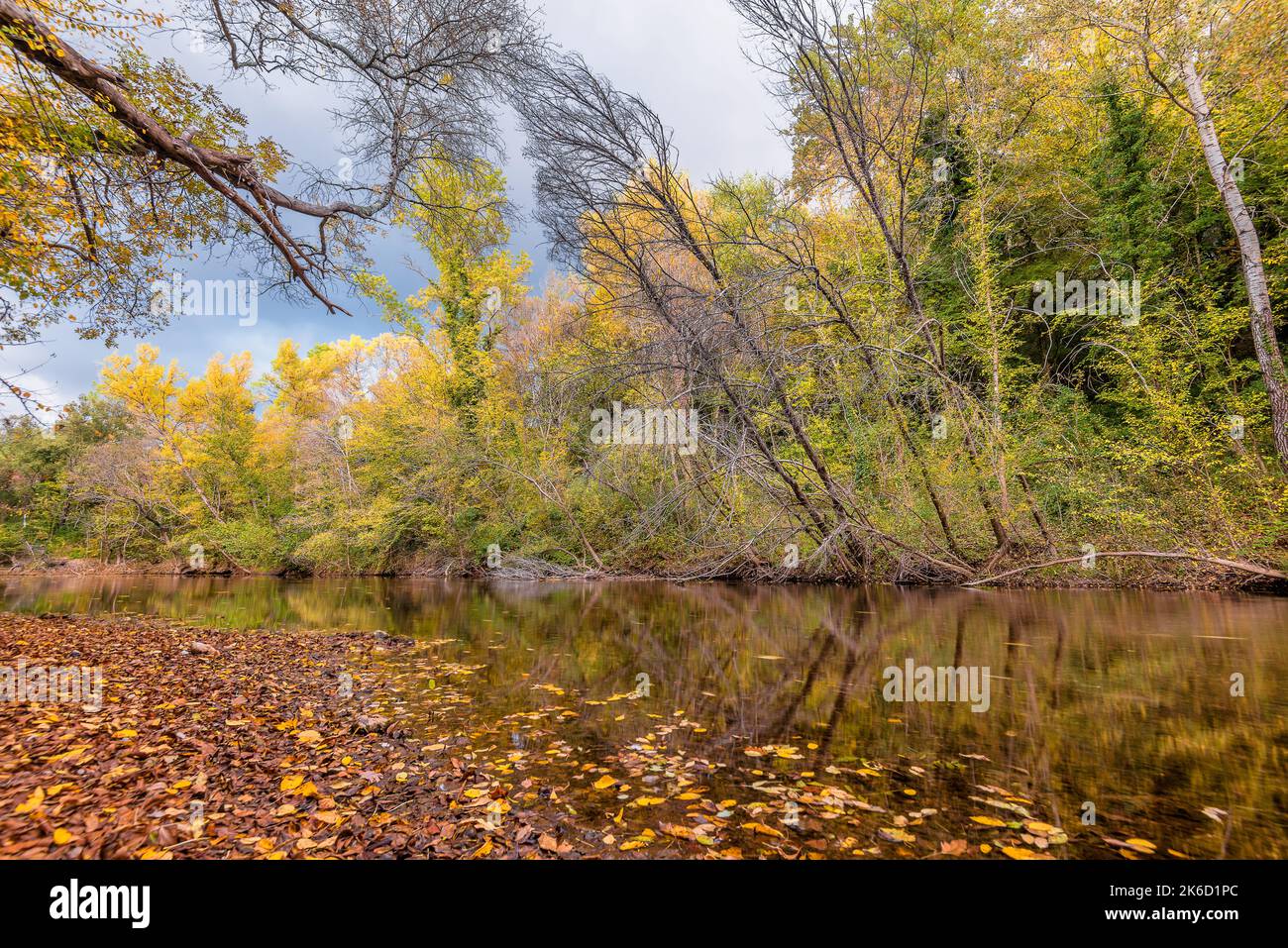 Vista panoramica degli alberi di colore autunnale che riflettono l'acqua del lago in Provenza sud della Francia Foto Stock