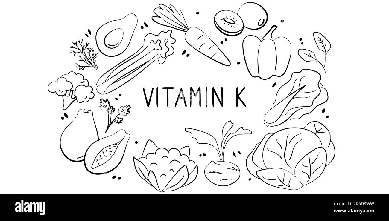 Vitamina K Phyllochinone. Gruppi di prodotti sani contenenti vitamine. Set di frutta, verdura, carne, pesce e latticini. Illustrazione Vettoriale