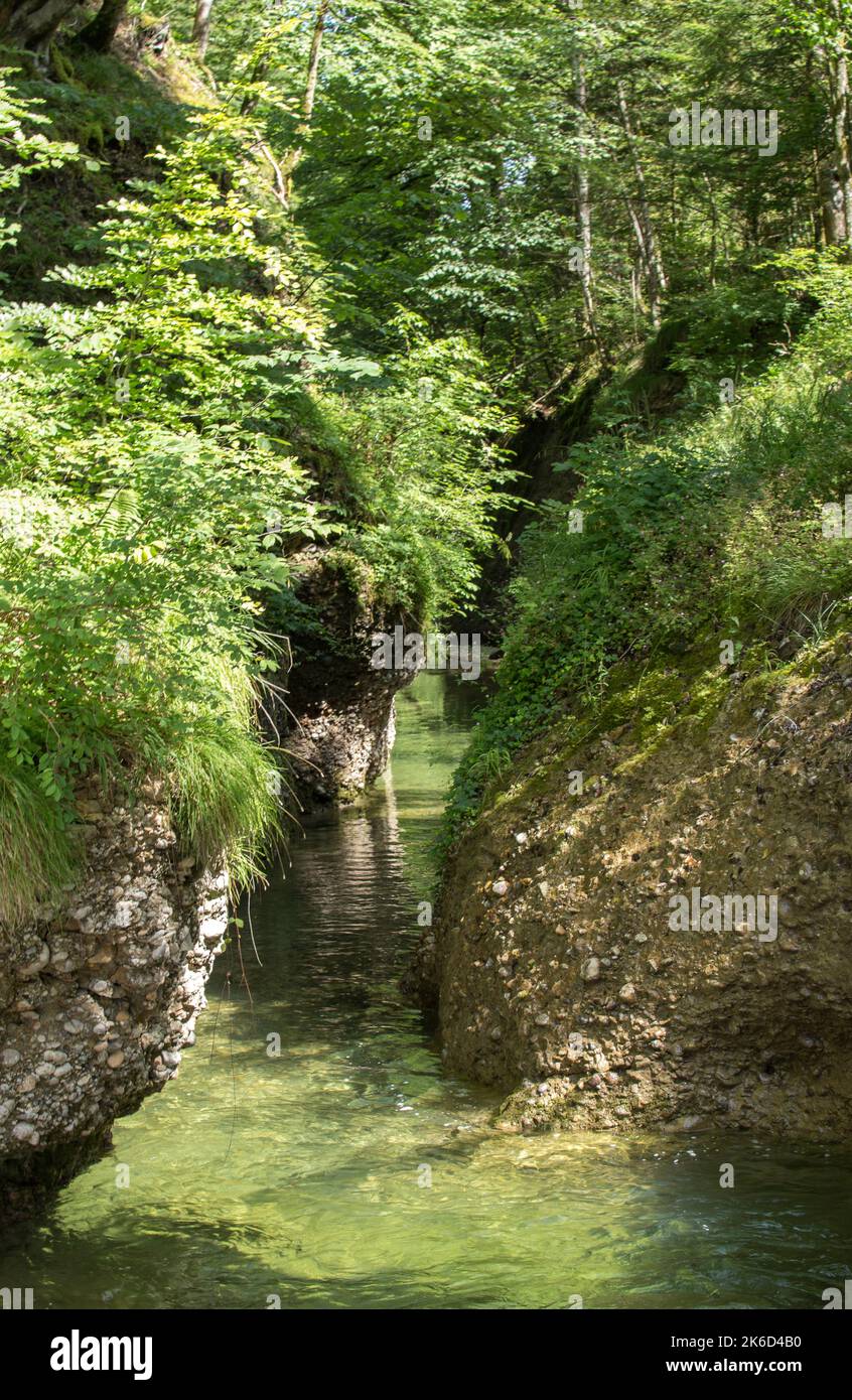 Accogliente fiume limpido nella splendida Tösstal in Svizzera. Foto Stock