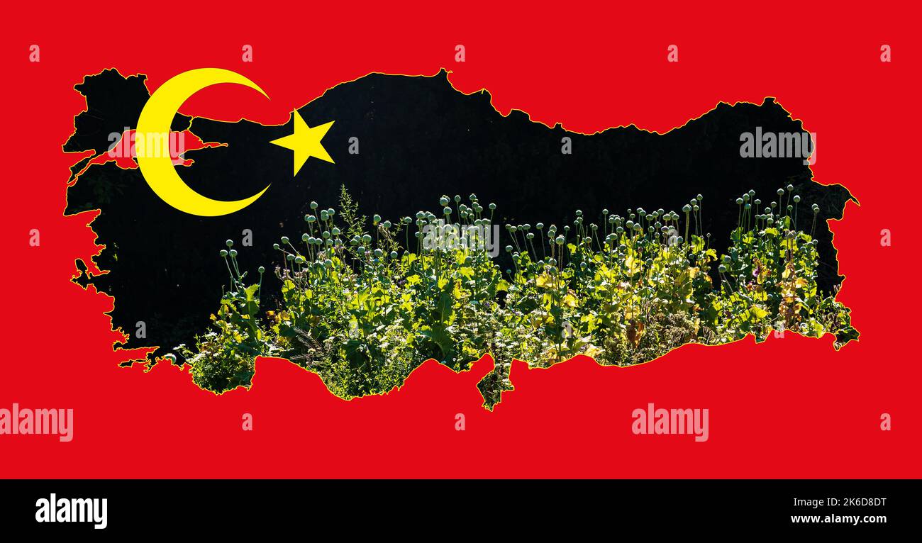 Mappa generale della Turchia con l'immagine della bandiera nazionale. Immagine di un pannocciolo di papavero all'interno della scheda. Collage. La Turchia è un importante produttore di papavero. Foto Stock