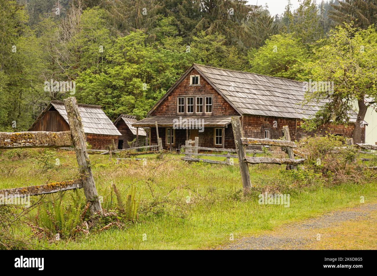 WA22248-00...WASHINGTON - la storica casa di Kestner nella foresta pluviale di Quinault del Parco Nazionale Olimpico. Foto Stock