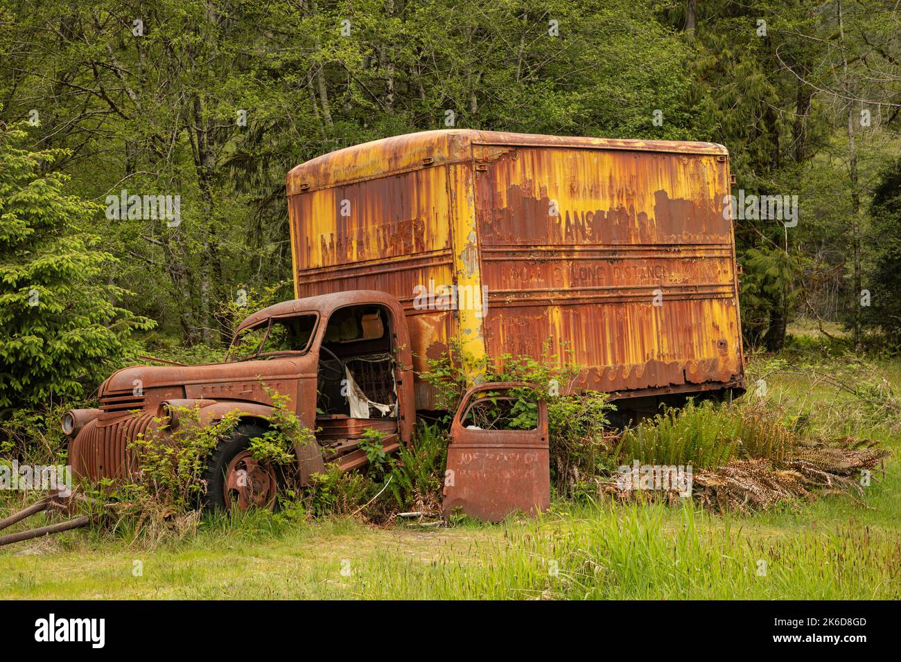 WA22249-00...WASHINGTON - Vecchio, camion di consegna, in mostra presso la storica Kestner Homestead nella foresta pluviale di Quinault del Parco Nazionale Olimpico. Foto Stock