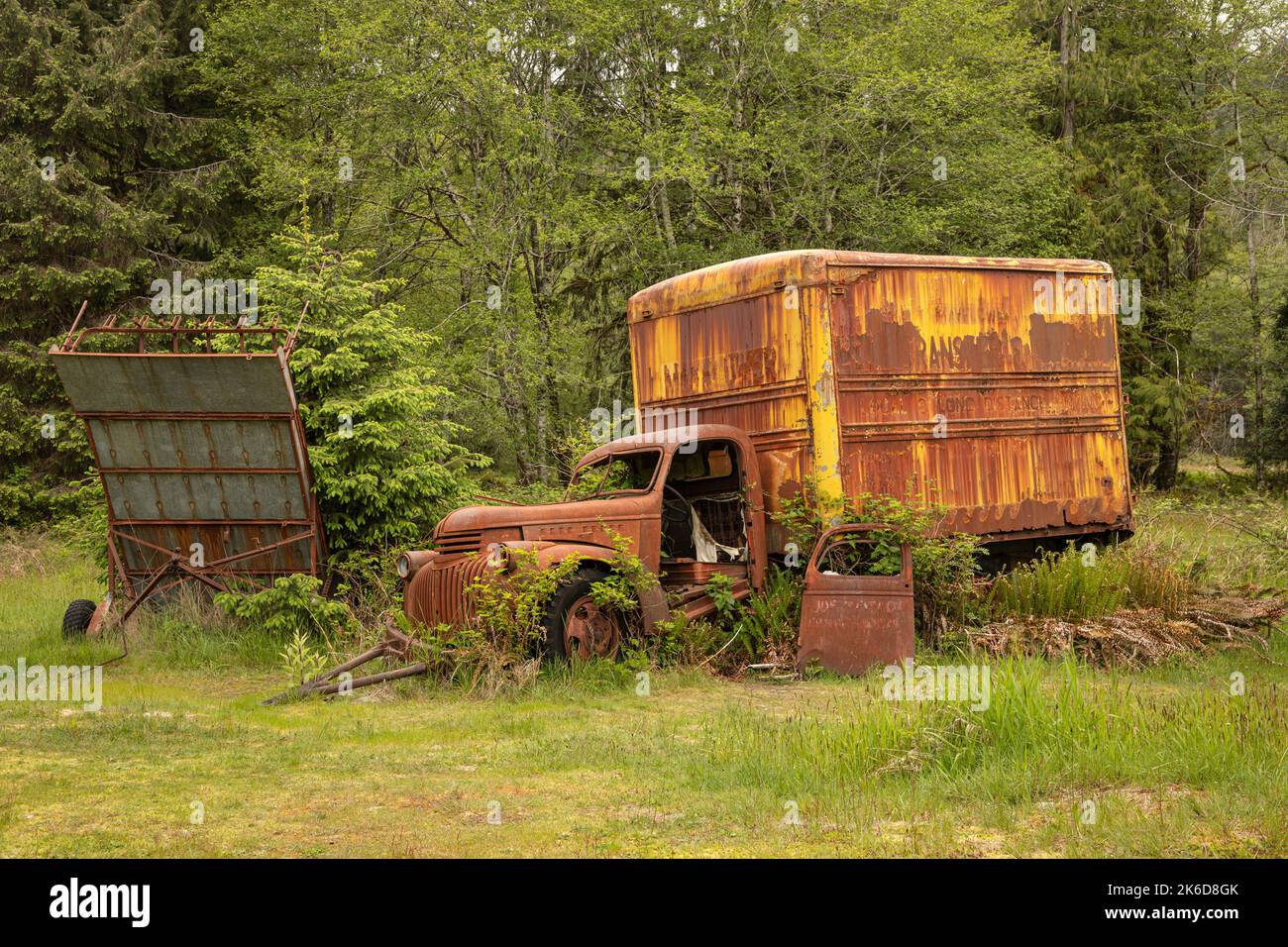 WA22250-00..WASHINGTON - Old, camion consegna, in mostra presso la storica Kestner Homestead nella foresta pluviale Quinault del Parco Nazionale Olimpico. Foto Stock