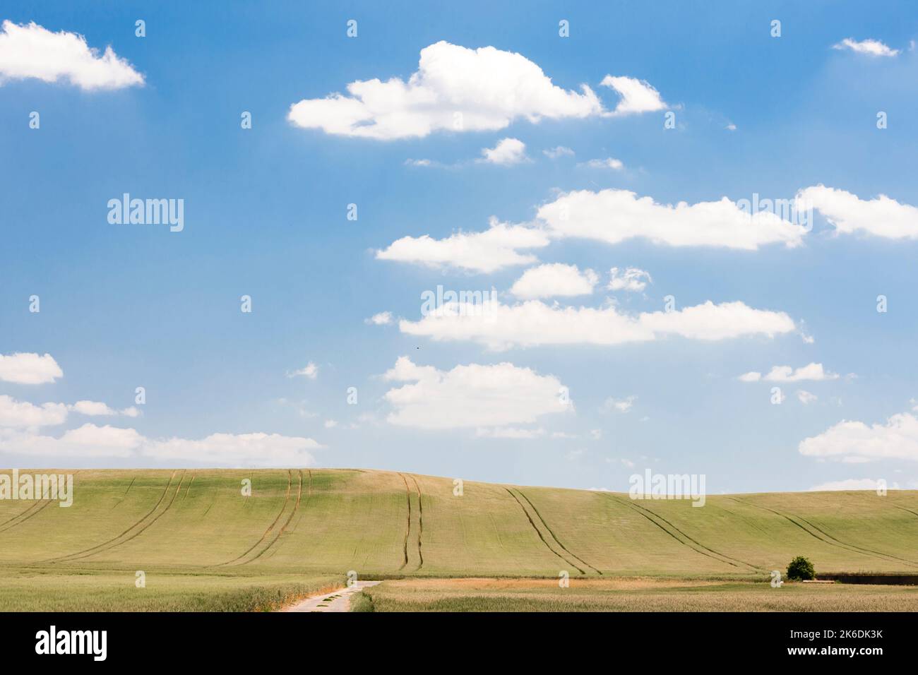 Paesaggio chiamato Moravia Toscana, Moravia meridionale, Repubblica Ceca Foto Stock