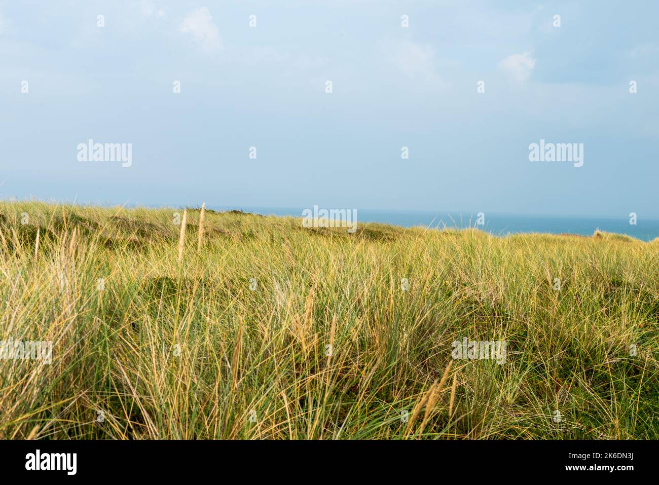 Nordsee Foto Stock