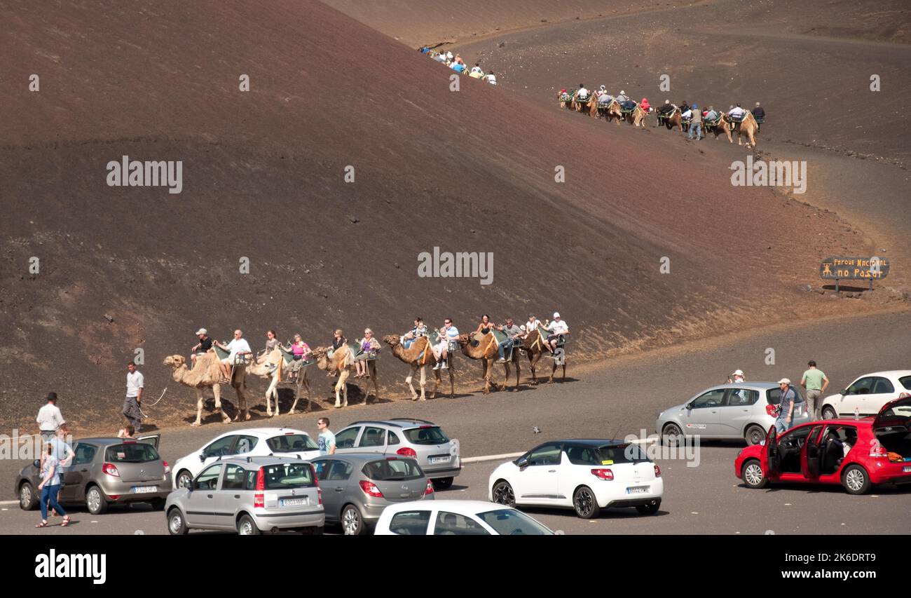 Gite in cammello, Parco Nazionale di Timanfaya, Lanzarote, Isole Canarie. Diverse centinaia di cammelli sono conservati nella zona di Timanfaya e utilizzati per fornire un giro in cammello Foto Stock