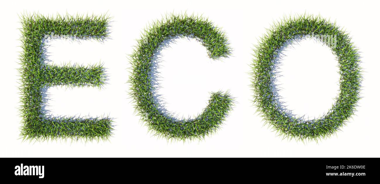 Concetto o concettuale erba verde prato che forma la parola ECO isolato su sfondo bianco. 3d metafora di illustrazione per la natura, la conservazione Foto Stock