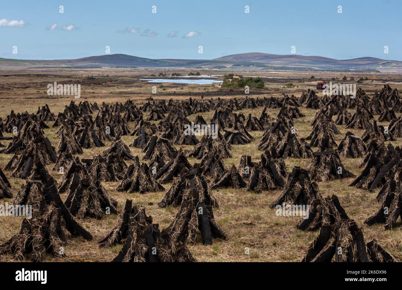 Il tappeto erboso tagliato a macchina si sta asciugando nel vasto paesaggio dell'Irlanda nord-occidentale. Foto Stock