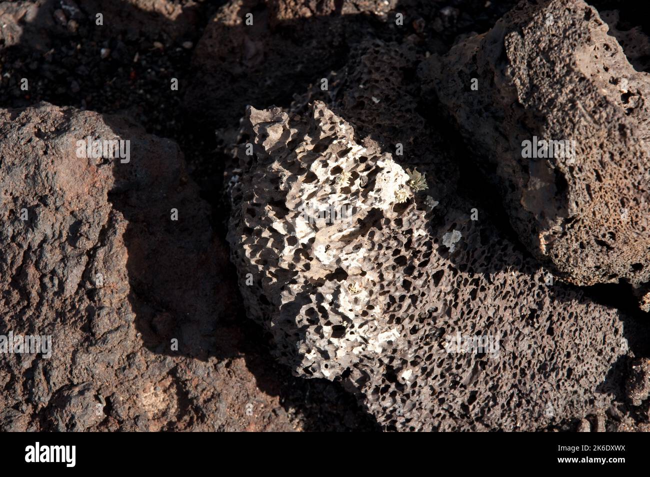 Lava, Parco Nazionale di Timanfaya, Lanzarote, Isole Canarie. Diverse centinaia di cammelli sono conservati nella zona di Timanfaya e utilizzati per fornire escursioni a dorso di cammello. Foto Stock