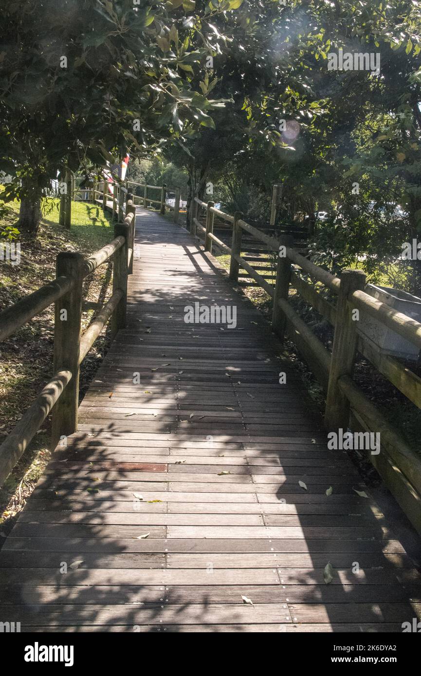 una passerella in legno naturale e frondosa con telaio di supporto in legno con linee di guida Foto Stock