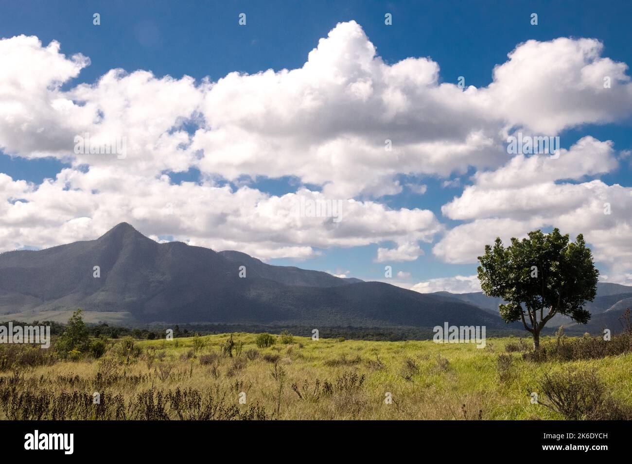 Paesaggio soleggiato e verde delle montagne con una grande formazione di nubi Foto Stock