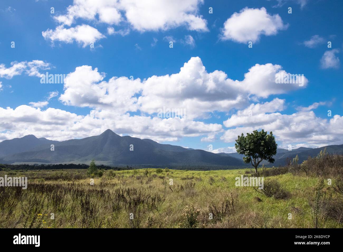 Paesaggio soleggiato e verde delle montagne con una grande formazione di nubi Foto Stock