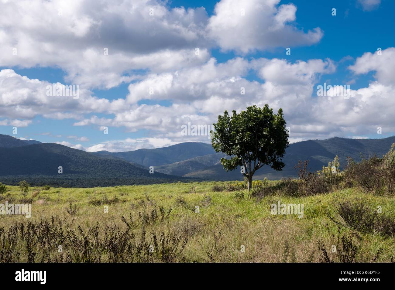 Paesaggio soleggiato e verde delle montagne con una grande formazione di nubi Foto Stock