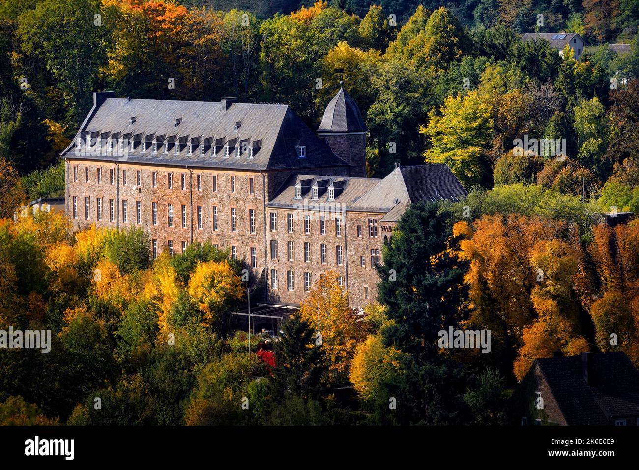 Castello di Schleiden nelle oscure foreste autunnali della regione tedesca del Nord Eifel Foto Stock