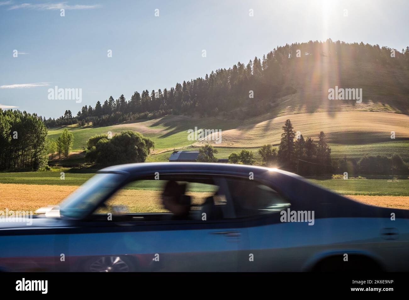 Palouse regione dello stato orientale di Washington, Stati Uniti, auto classica sulla strada, fattoria al sole pomeriggio Foto Stock