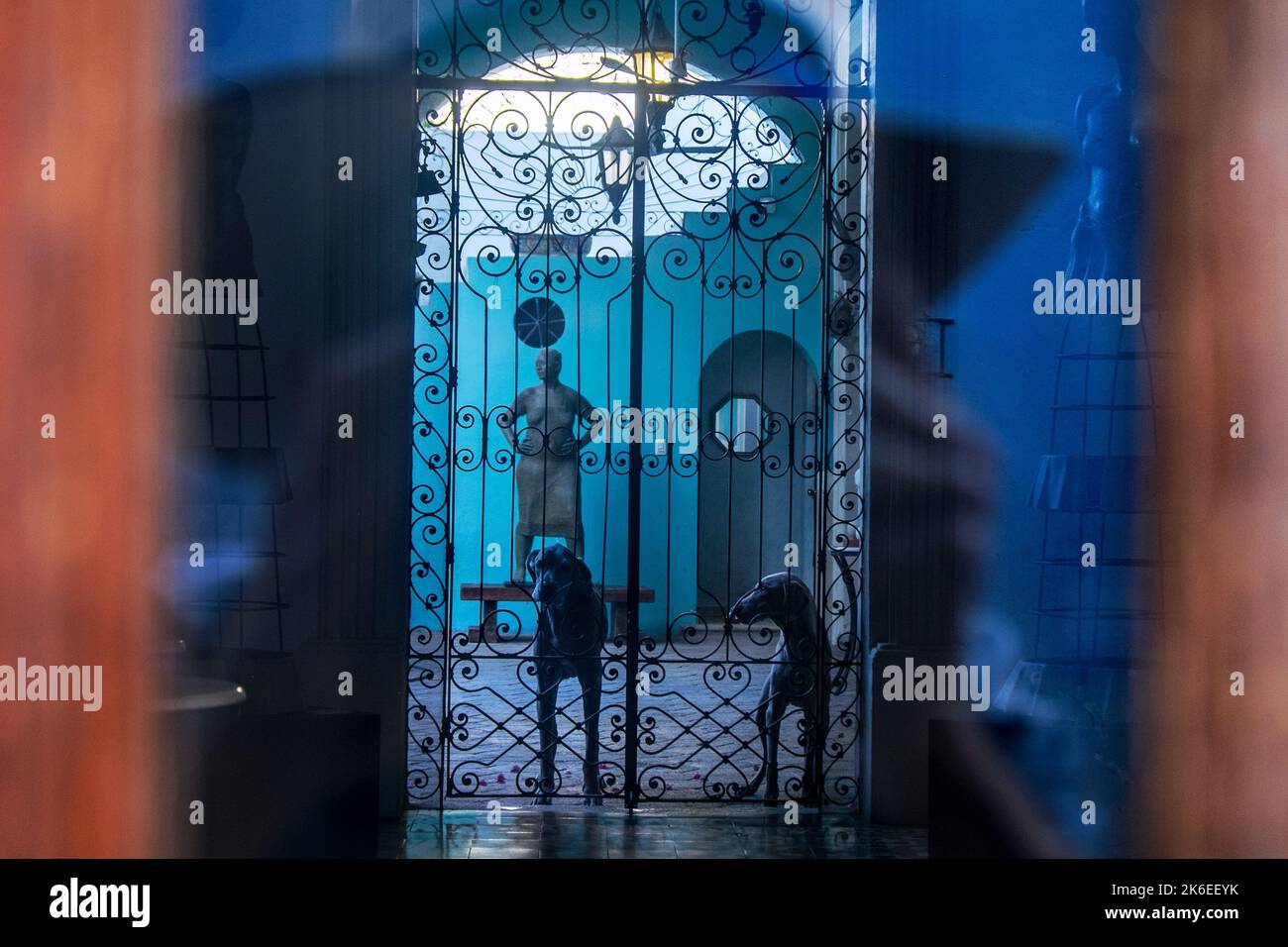 Mérida, Messico, galleria d'arte Art Deco, interni, cani, griglia in metallo Foto Stock