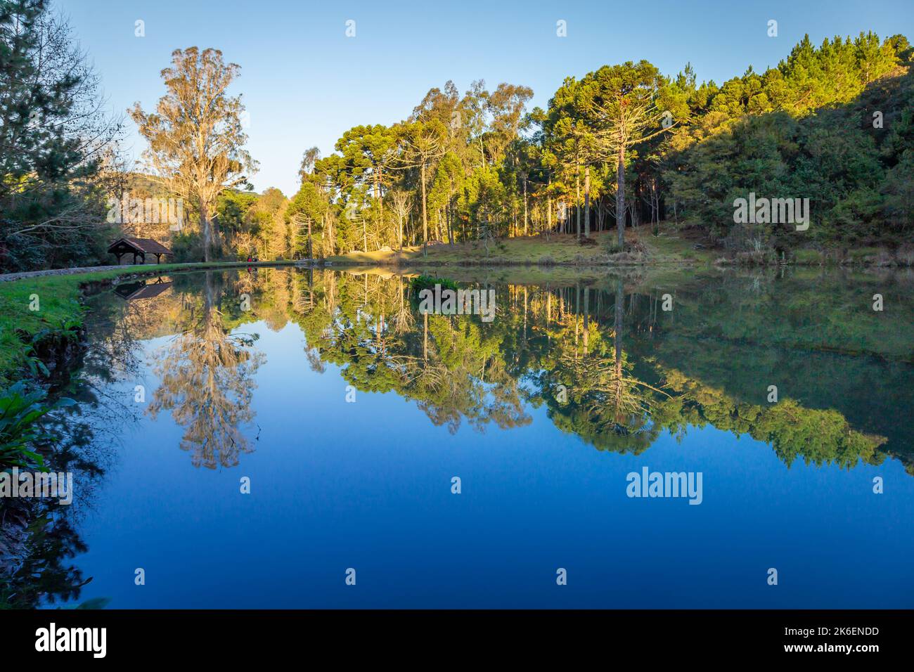Campagna del Brasile meridionale e paesaggio di riflessione del lago all'alba tranquilla Foto Stock