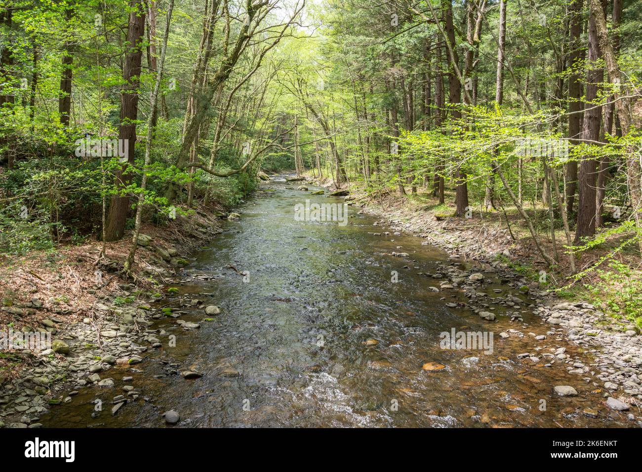 Dingmans Creek nella Delaware Water Gap National Recreation Area, Pennsylvania. Foto Stock
