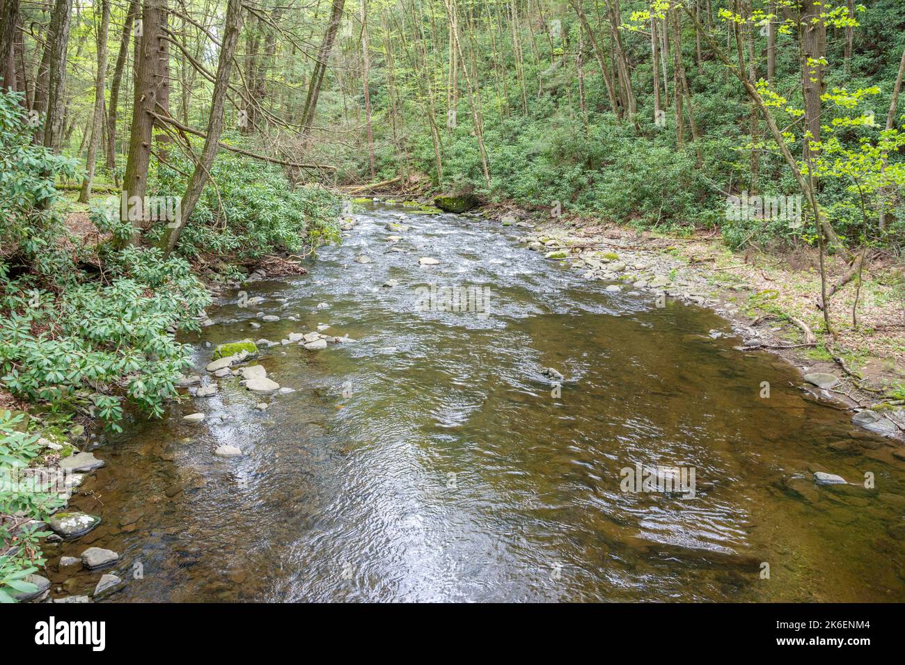 Dingmans Creek nella Delaware Water Gap National Recreation Area, Pennsylvania. Foto Stock