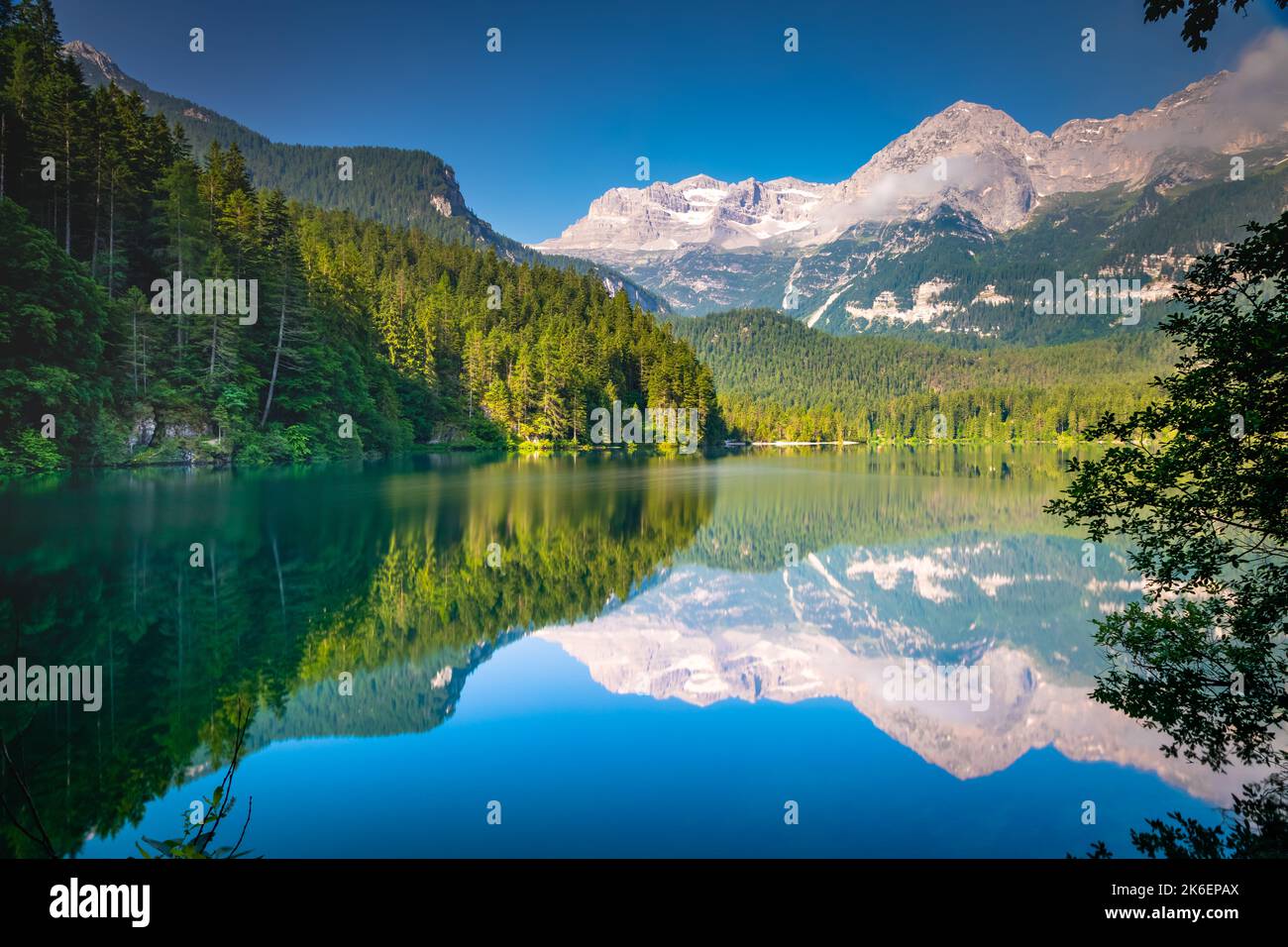 Lago di Tovel simmetria di riflessione in Trentino-Alto Adige, Dolomiti, Italia Foto Stock