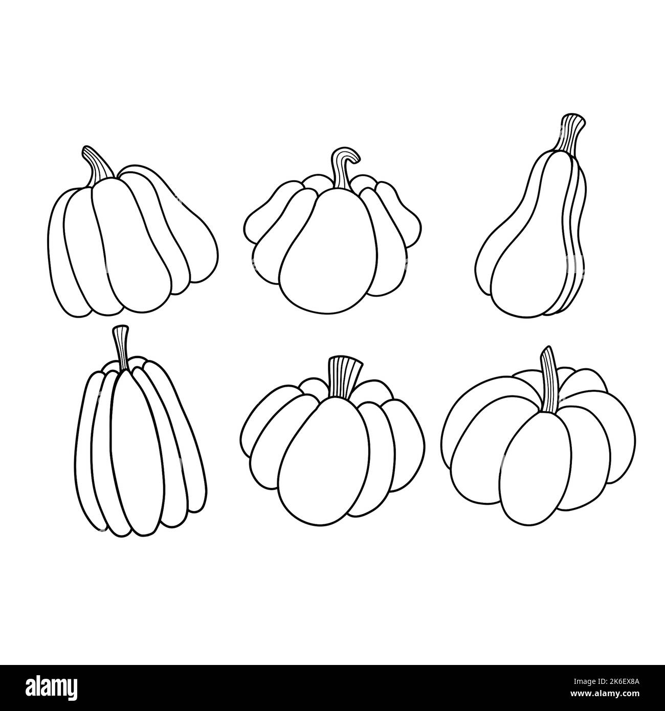 disegno in zucca senza cuciture disegnato a mano, senza sfondo Foto Stock