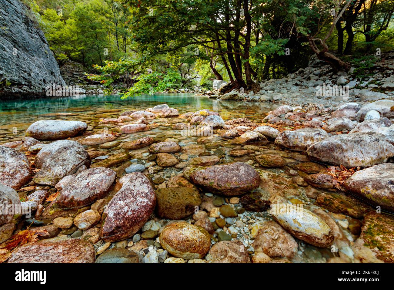 Sorgenti di Angastromeni nella gola di Vikos, Zagori, Grecia Foto Stock