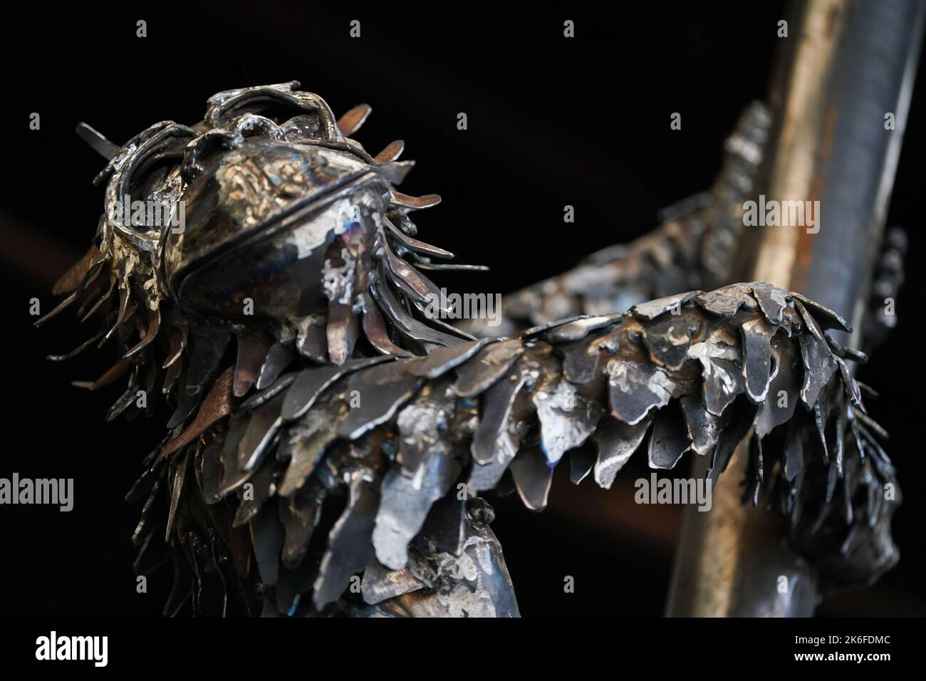 L'ultima creazione dello scultore Luke Perry, un'enorme statua di orangutan in acciaio per evidenziare la situazione delle specie a rischio critico. La struttura, che misura circa 40m, sarà installata presso lo Zoo di Dudley, dove due orangutani del Borneo sono nati di recente. Perry ??? direttore della roccaforte del patrimonio industriale ??? spera che il pezzo impressionante aumenterà la consapevolezza circa la deforestazione, la produzione di olio di palma e le conseguenze per tali animali. Data immagine: Giovedì 13 ottobre 2022. Foto Stock