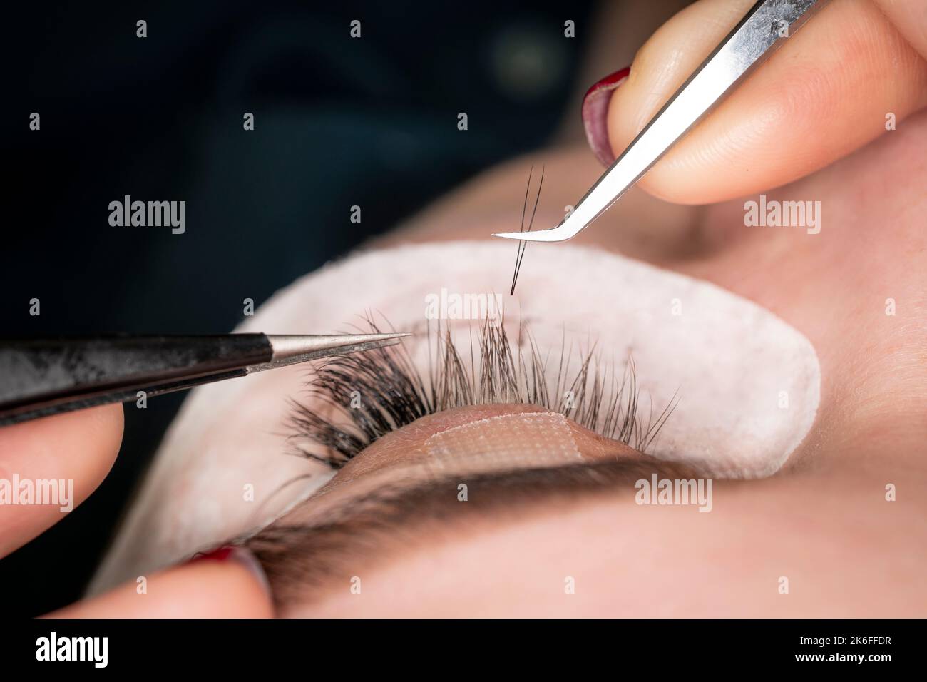 Trucco permanente. Procedura di estensione del ciglio. Occhio con ciglia lunghe. Stylist professionale che allunga le ciglia femminili. Procedura di estensione ciglia - Foto Stock