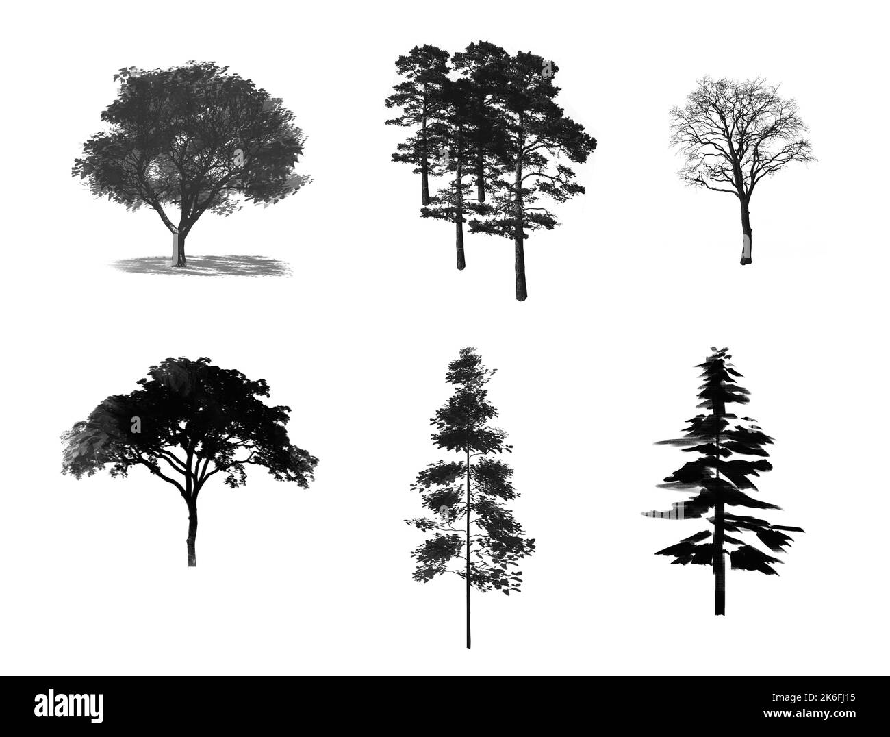 Set decorativo con alberi e forma ad albero. Disegno di contorno con albero e foresta. Foto Stock
