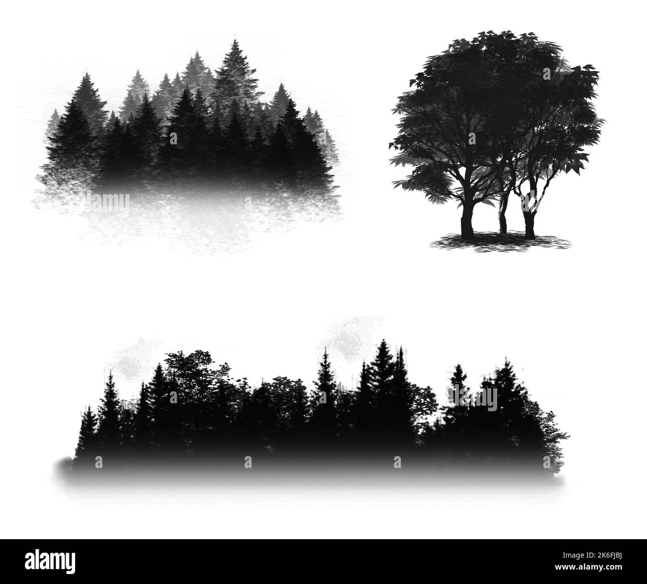 Set decorativo con alberi e forma ad albero. Disegno di contorno con albero e foresta. Foto Stock