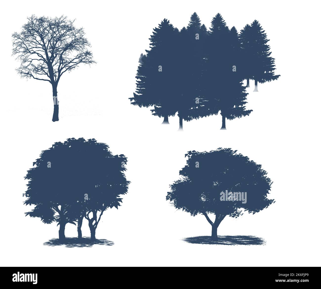 Set decorativo con alberi e forma ad albero. Disegno di contorno con albero e foresta. Foto Stock
