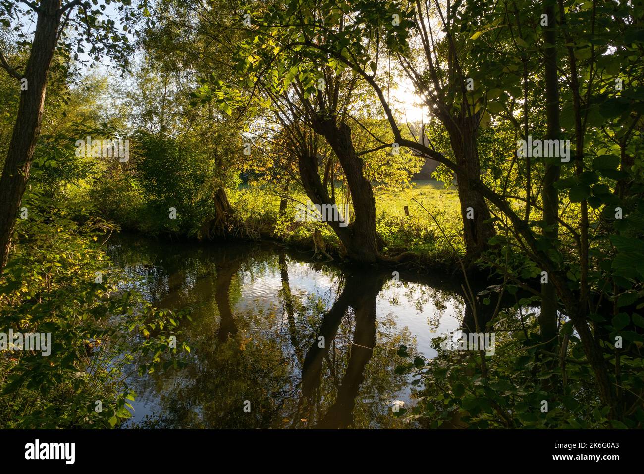 Creek Schwalm sul basso Reno alla luce della sera in autunno Foto Stock