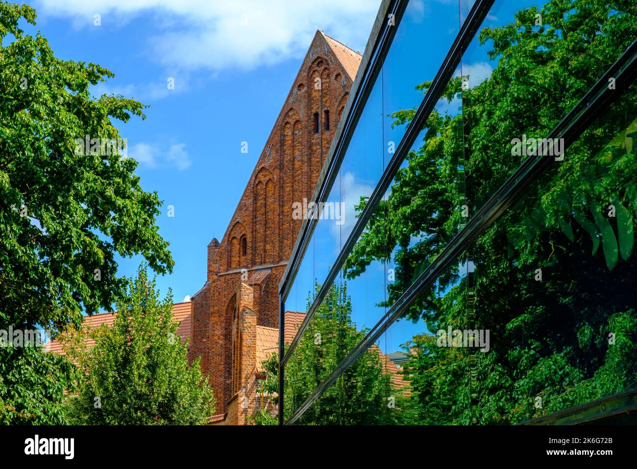 Il Museo Oceanografico di Stralsund nell'ex Monastero di Santa Caterina, città anseatica di Stralsund, Meclemburgo-Pomerania occidentale, Germania. Foto Stock