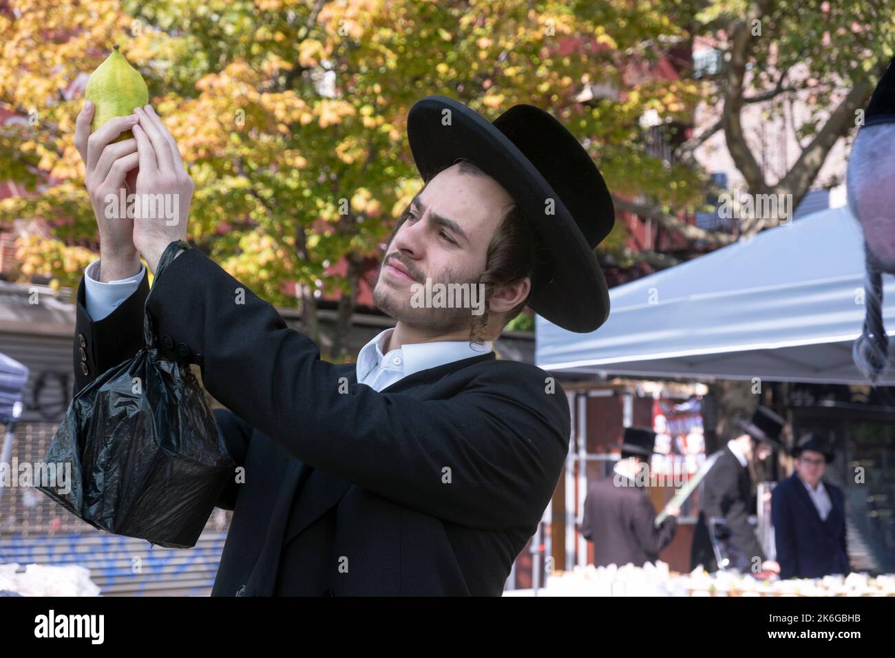 Preparandosi per Sukkos, un ebreo ortodosso ispeziona un esrog per essere sicuro che sia privo di imperfezioni. Su Lee Ave. A Williamsburg, Brooklyn, New York. Foto Stock
