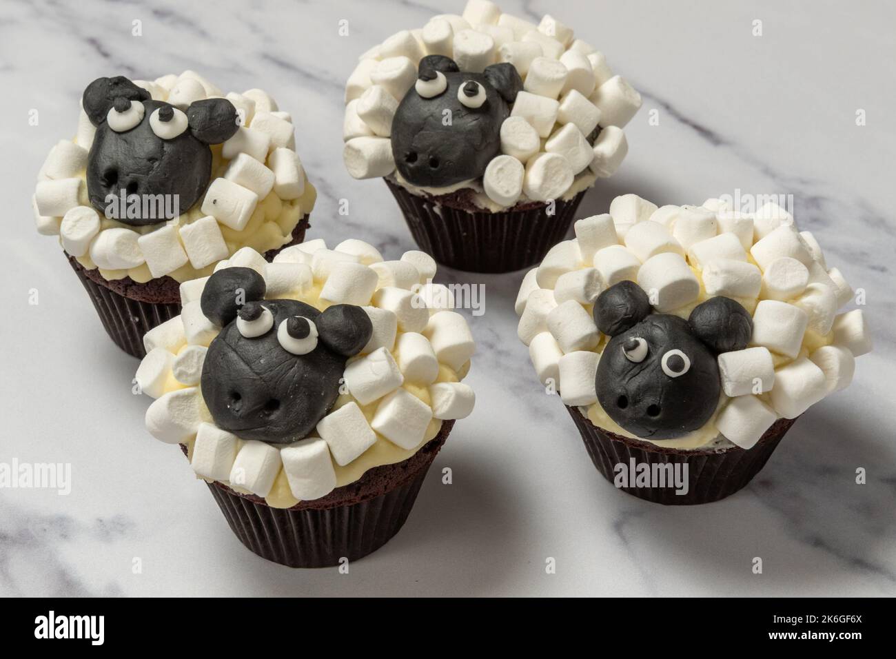 Cupcakes di disegno di pecora della molla Foto Stock