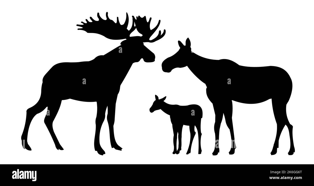 Famiglia Elk maschio con corna grandi e con Moose femmina con cucciolo Elk. Immagine della silhouette. Animali in natura. Isolato su sfondo bianco. Vettore Illustrazione Vettoriale