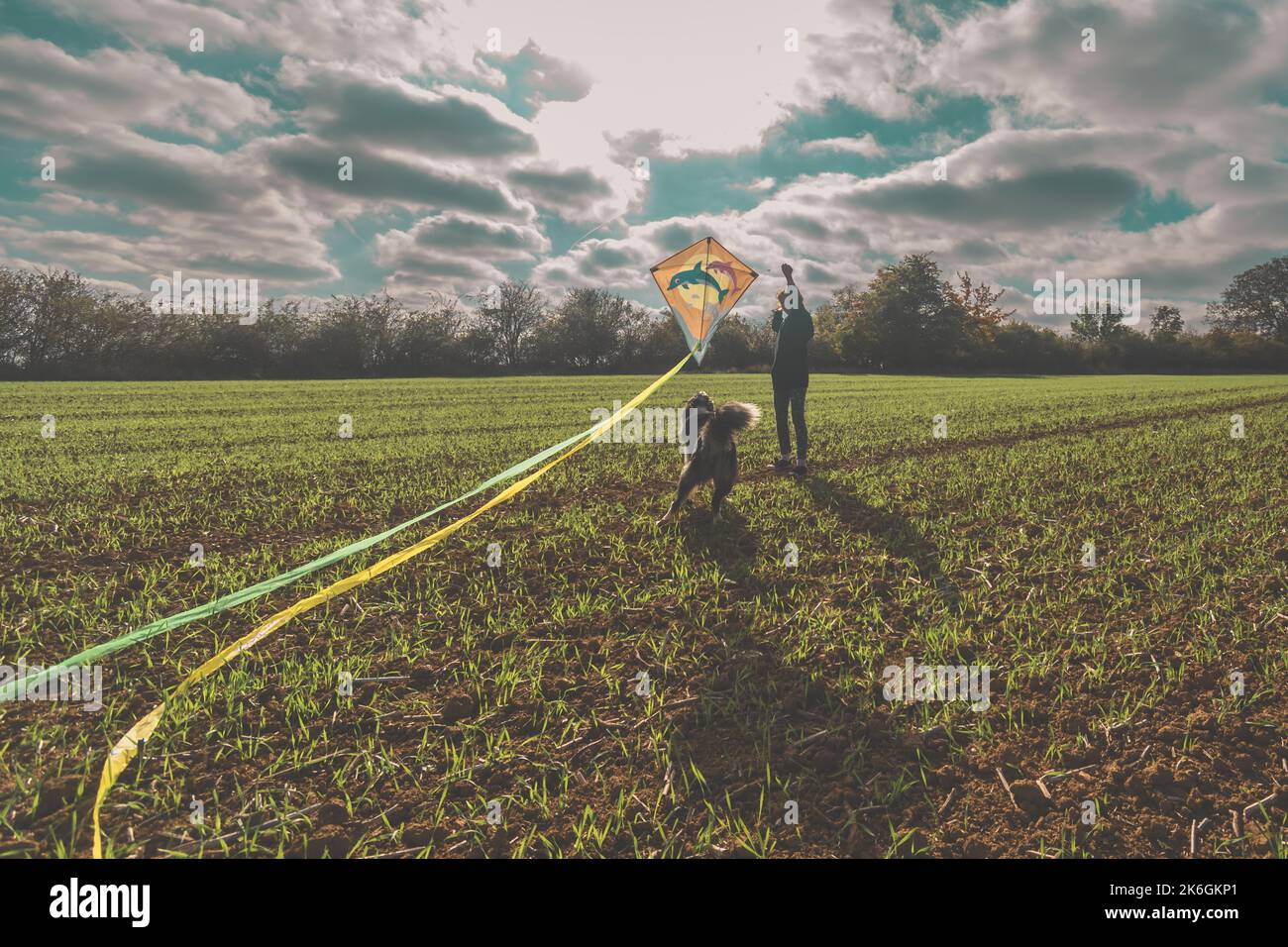 attività autunnali con aquilone nel campo verde Foto Stock