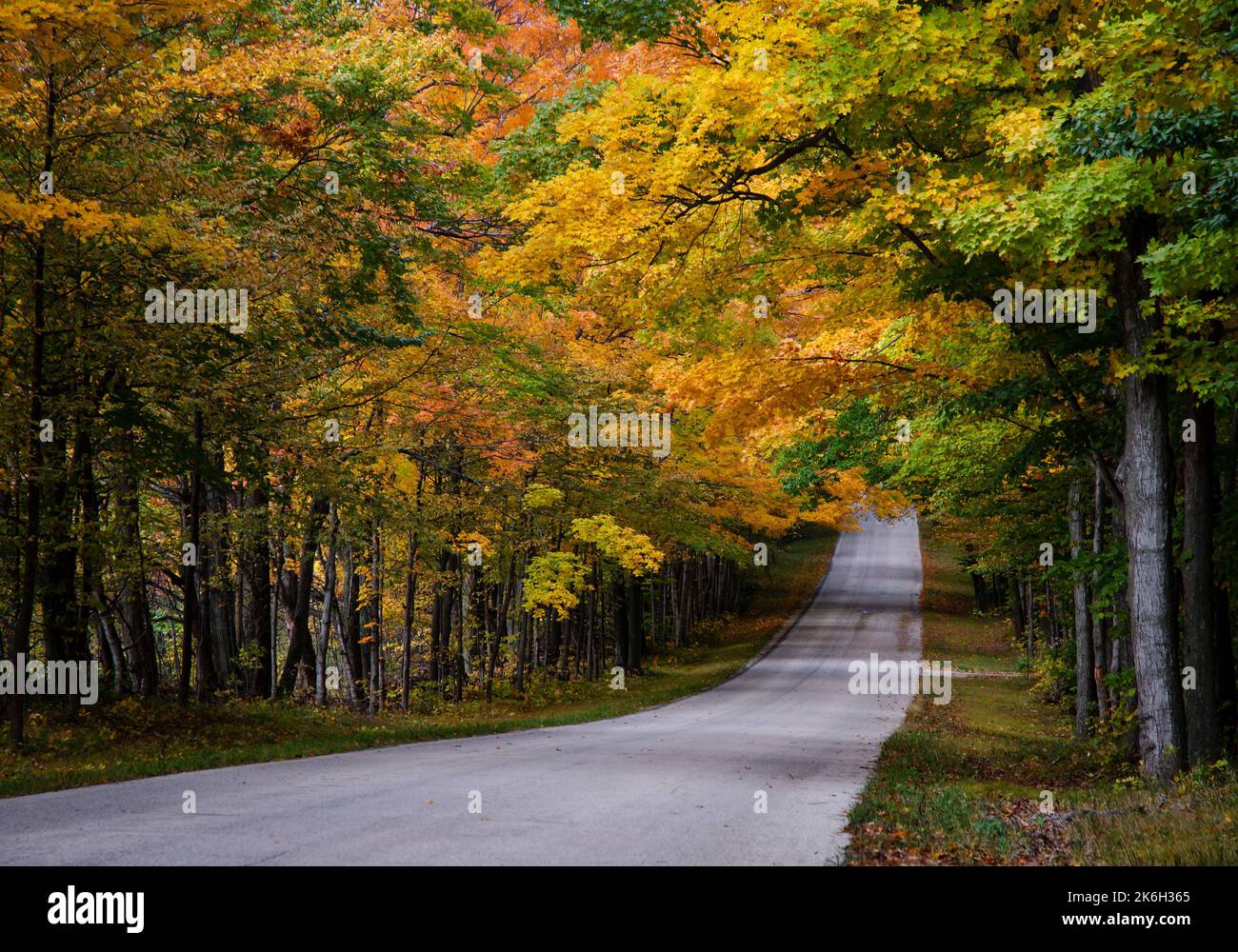 Green Road attraversa una foresta autunnale a Door County, Wisconsin Foto Stock