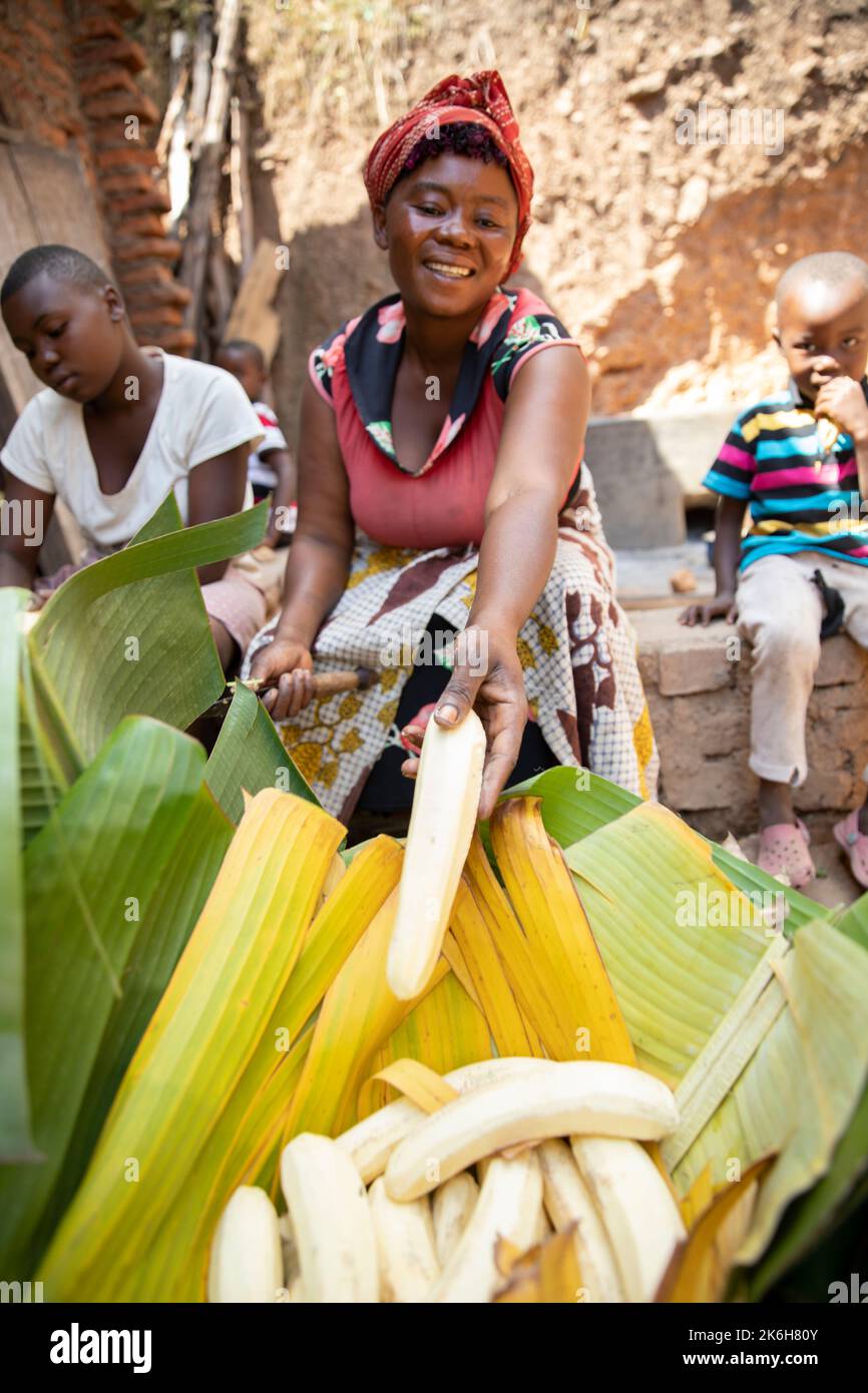 Una giovane donna e sua madre pelano banane amidacee, la banana delle Highland dell'Africa orientale, conosciuta localmente come matoke, nel distretto di Kasese, Uganda, Africa orientale. Foto Stock