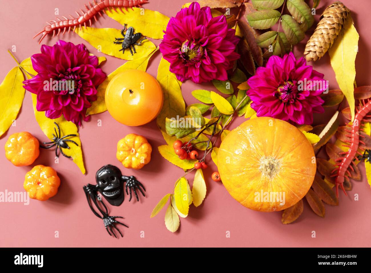 Sfondo creativo di concetto di Halloween. Sfondo di Halloween con candele, zucche, fiori viola, foglie autunnali. Vista dall'alto. Foto Stock