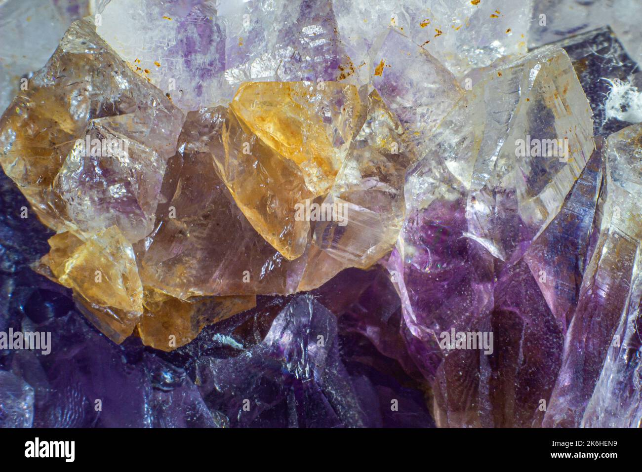 Ultra macro primo piano di un gruppo di quarzo Ametista viola naturale isolato su sfondo nero Foto Stock