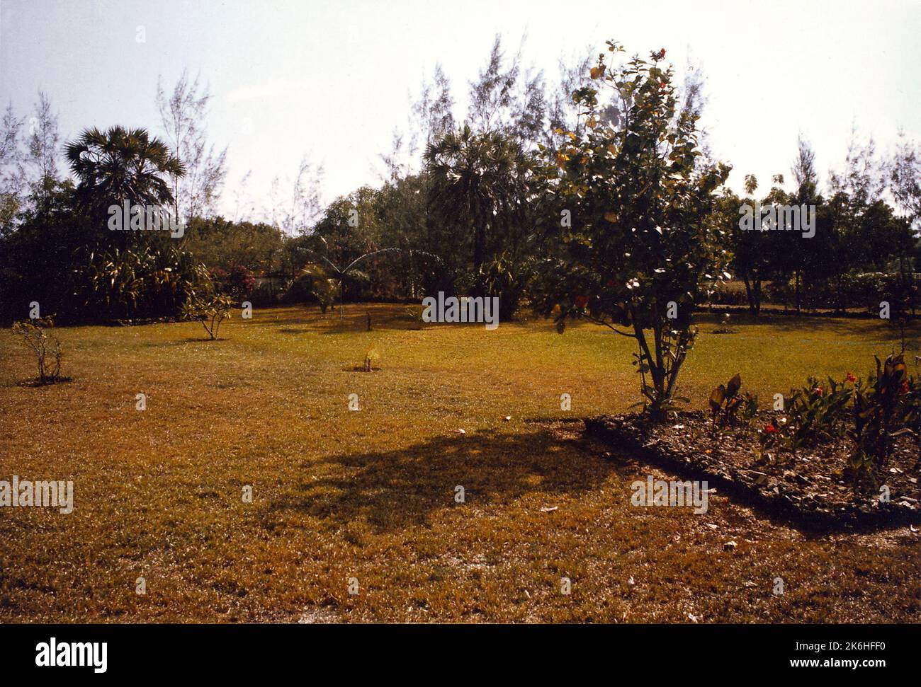 Mombasa - funzionario principale/Consul General Residence - 1982, Stati Uniti fotografie relative a ambasciate, consolati e altri edifici d'oltremare Foto Stock Mombasa - funzionario principale/Consul General Residence - 1982, Stati Uniti fotografie relative a ambasciate, consolati e altri edifici d'oltremare Foto Stock