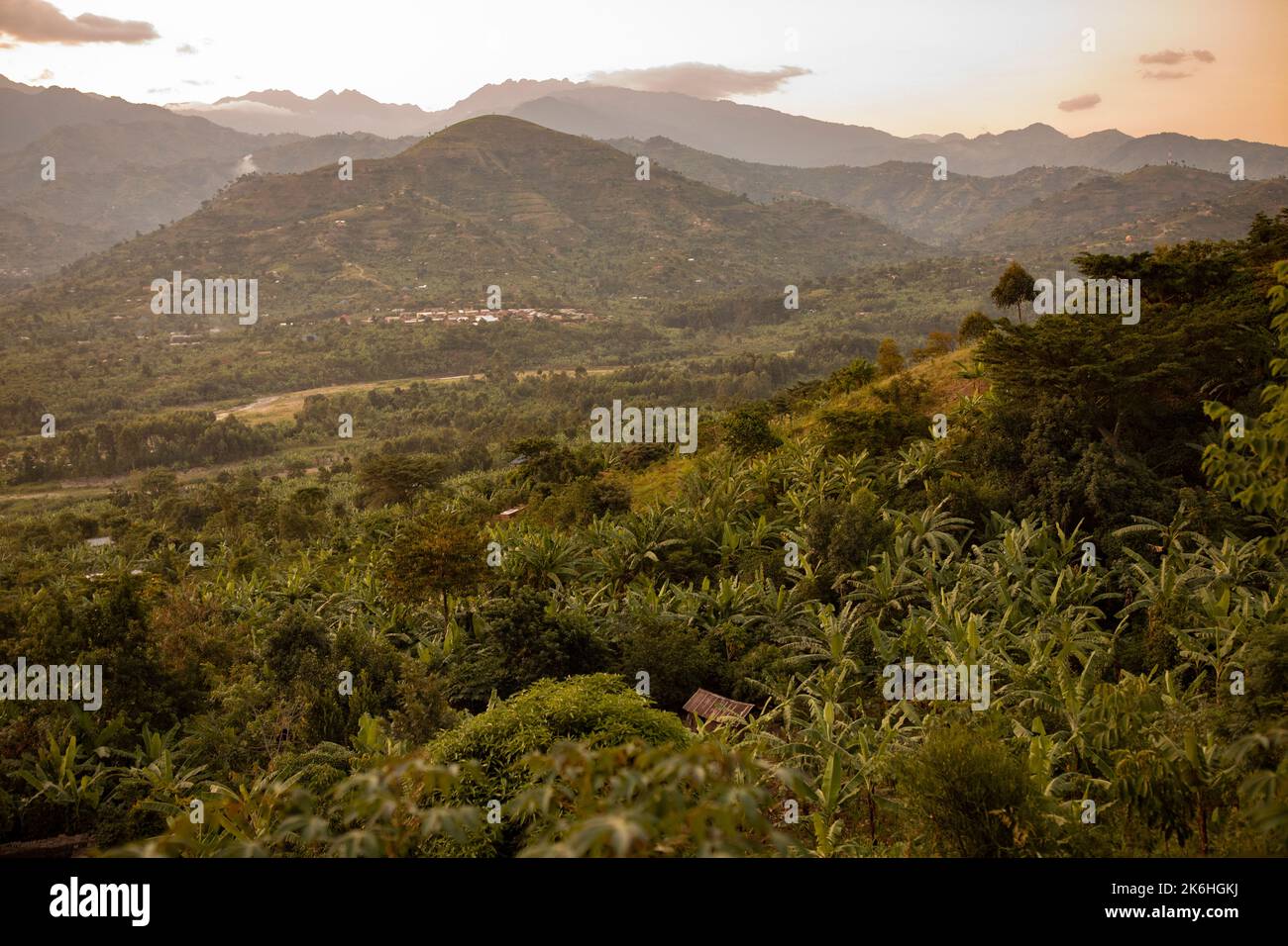 Valle panoramica sui monti Rwenzori - distretto di Kasese, Africa orientale dell'Uganda. Foto Stock